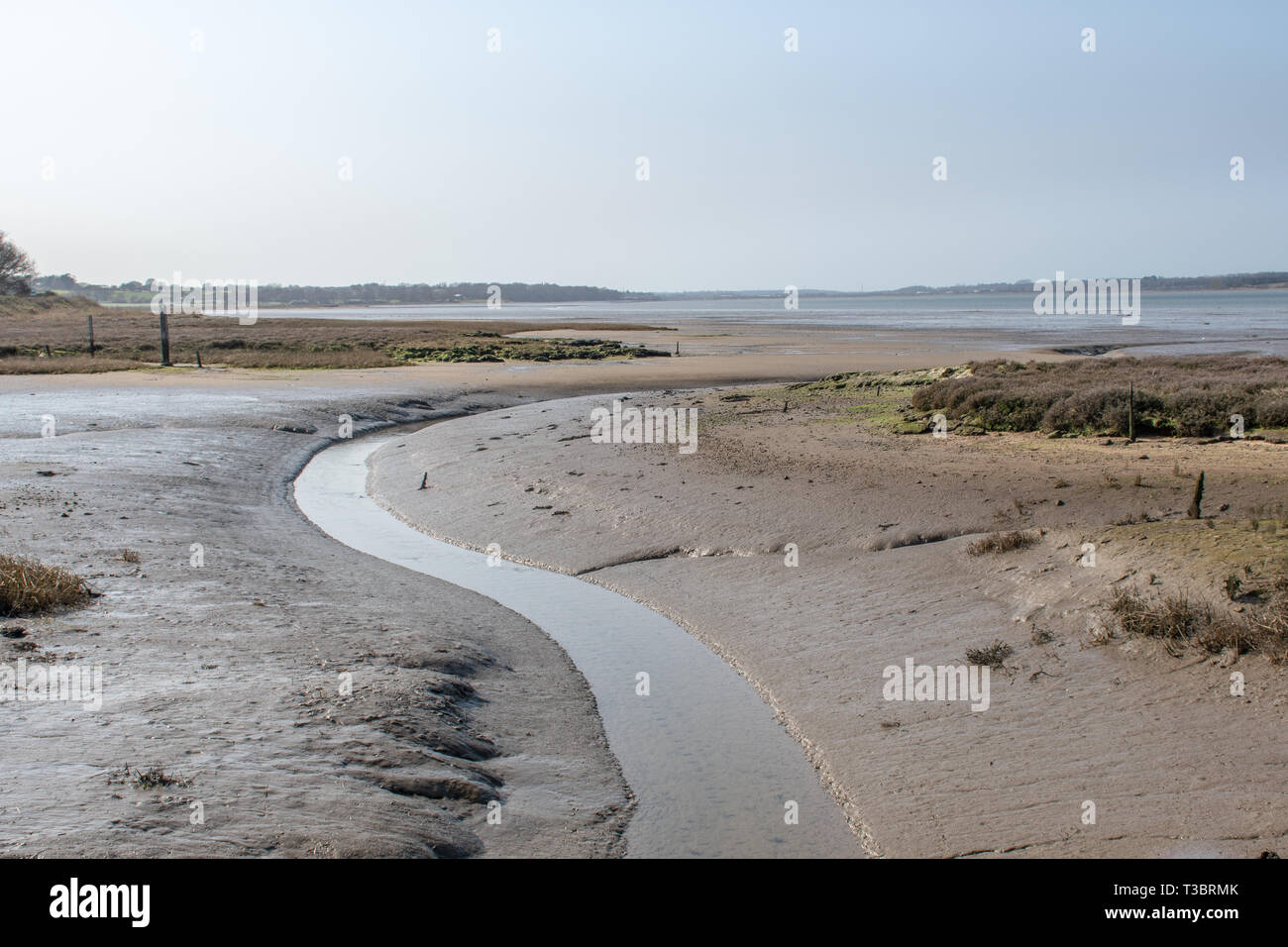Flusso di avvolgimento voce a mare nel fangoso estuario del regno unito a bassa marea Foto Stock