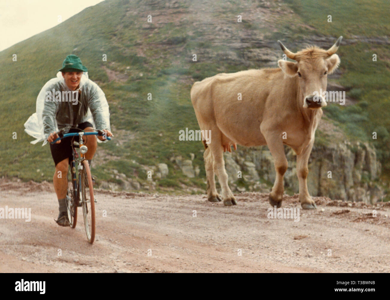 L'Italia, l'uomo su bicyle e cow, 1974 Foto Stock
