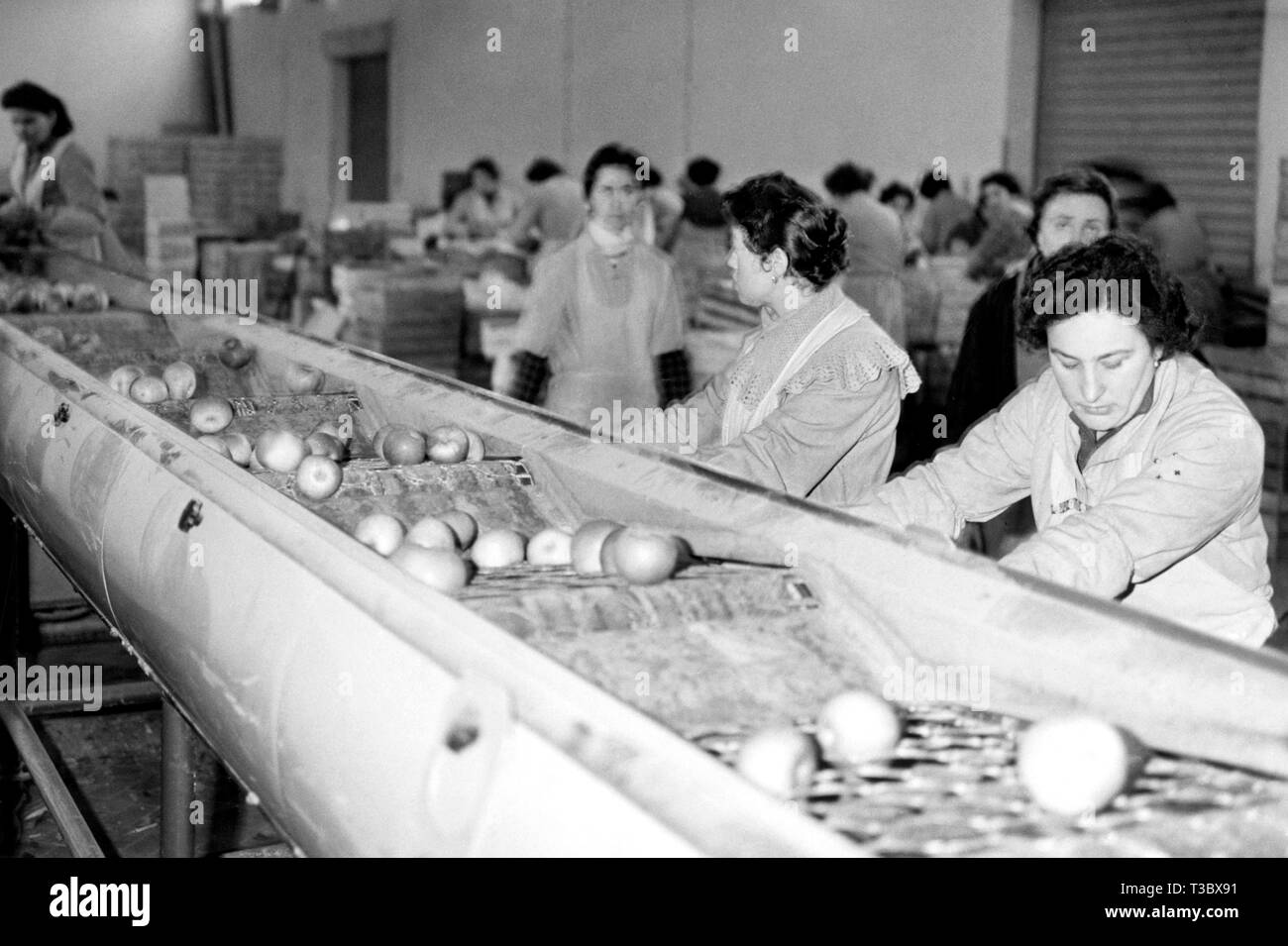 Industria, 1950 Foto Stock