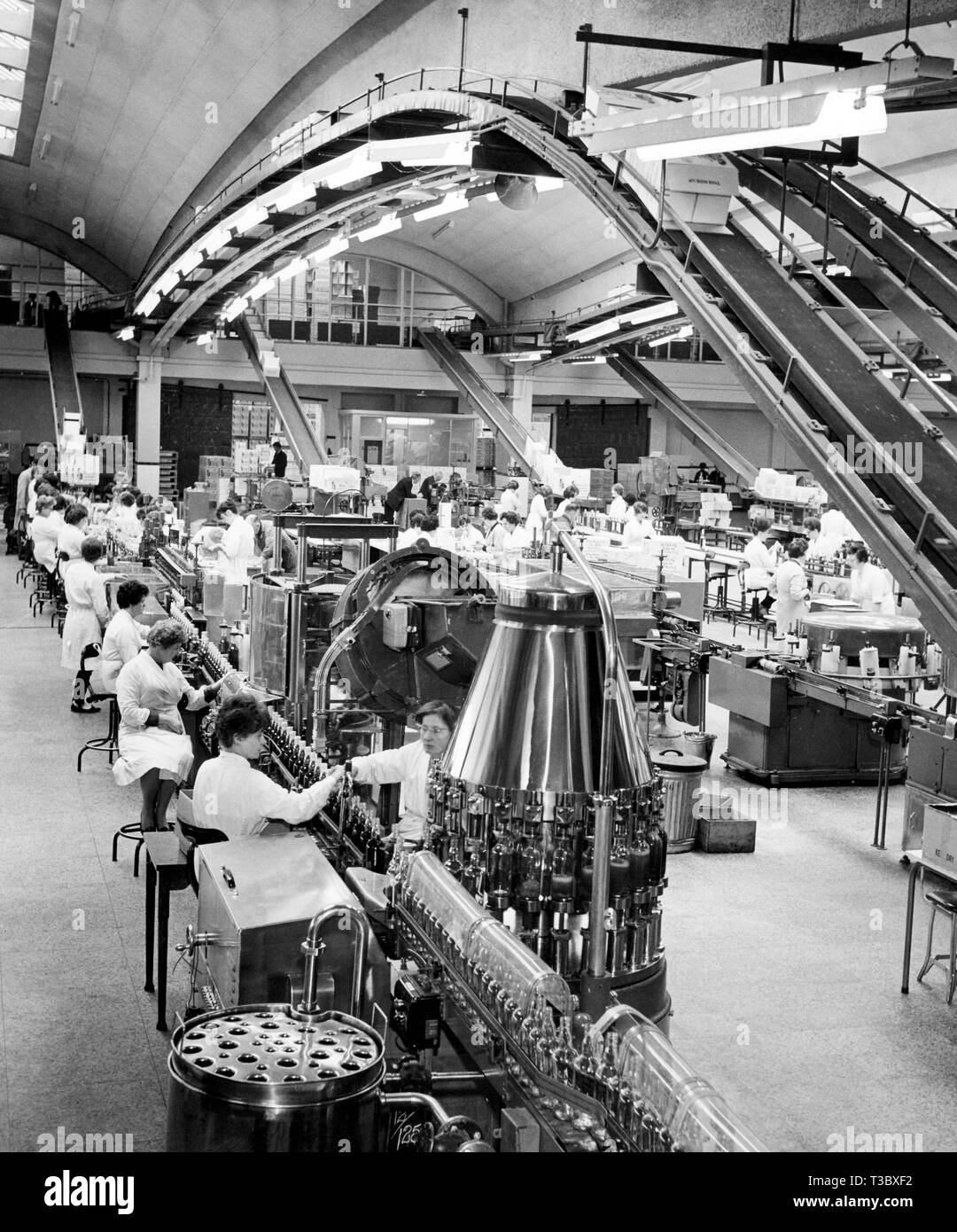 Lavoratori di sesso femminile nel reparto di imbottigliamento, 1967 Foto Stock