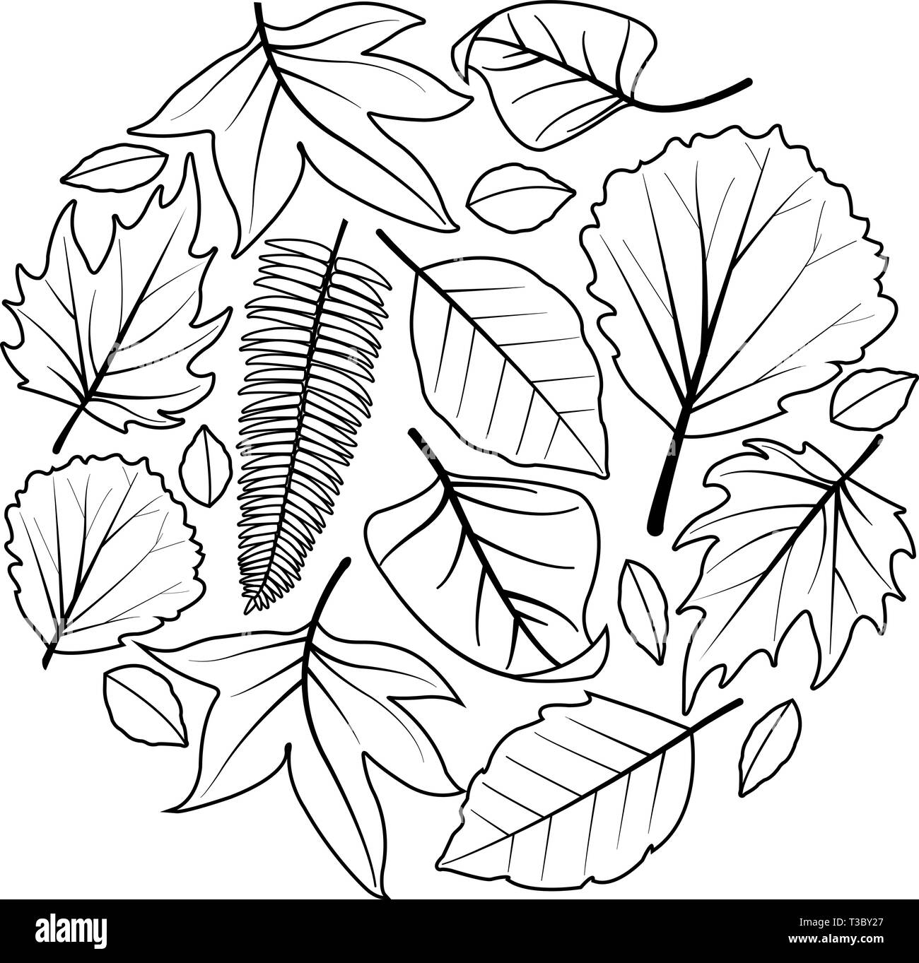 Una raccolta di diversi asciugare le foglie di autunno. Il vettore in bianco e nero la colorazione di pagina del libro Illustrazione Vettoriale