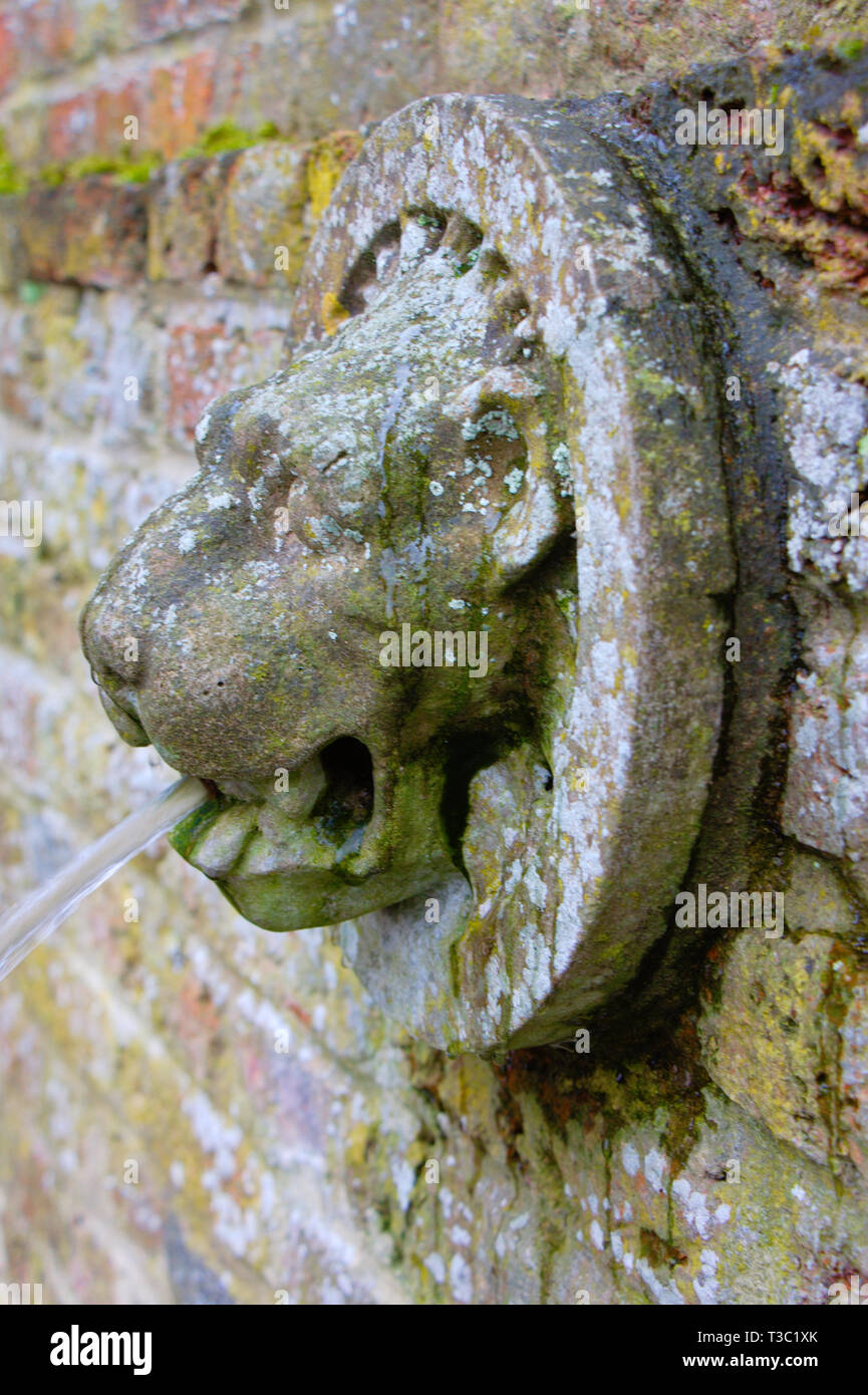 Lion trombe di testa in un vecchio giardino inglese. Foto Stock Lion trombe di testa in un vecchio giardino inglese. Foto Stock