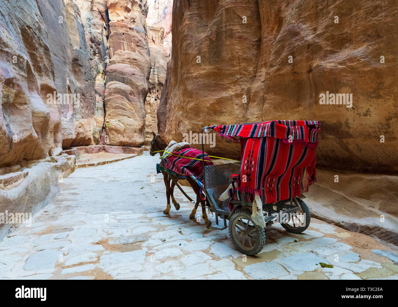 Una carrozza con turisti nel Siq il canyon conduce all'ingresso principale all'antica Nabatean città di Petra, Giordania. Foto Stock