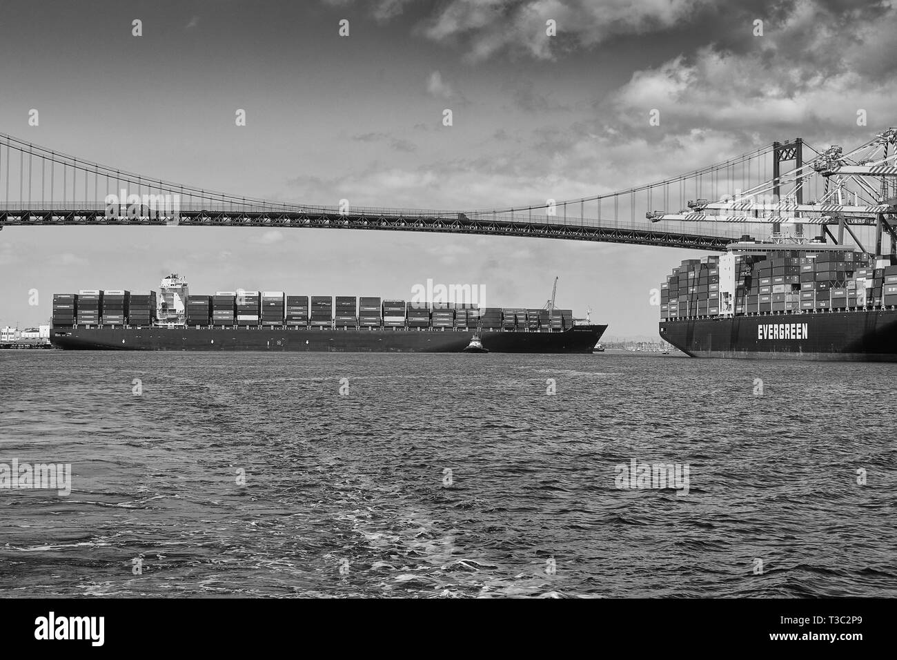 Foto in bianco e nero della nave portacontainer, SEAMAX NEW HAVEN, guidata da rimorchiatori sotto il ponte Vincent Thomas nel porto di Los Angeles, Stati Uniti Foto Stock