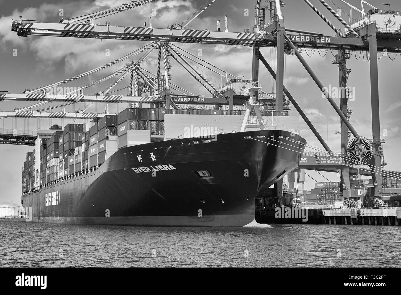 Foto Moody in bianco e nero della Giant Evergreen Container Ship, EVER LIBRA, caricamento e scarico nel porto di Los Angeles, California, USA. Foto Stock