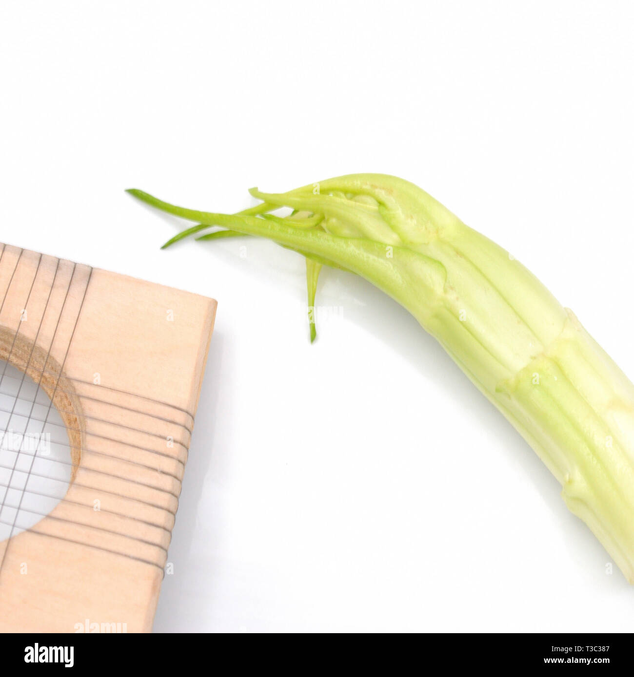 Attrezzo taglia puntarelle, tipicamente italiana di cicoria. square,  isolato su bianco Foto stock - Alamy