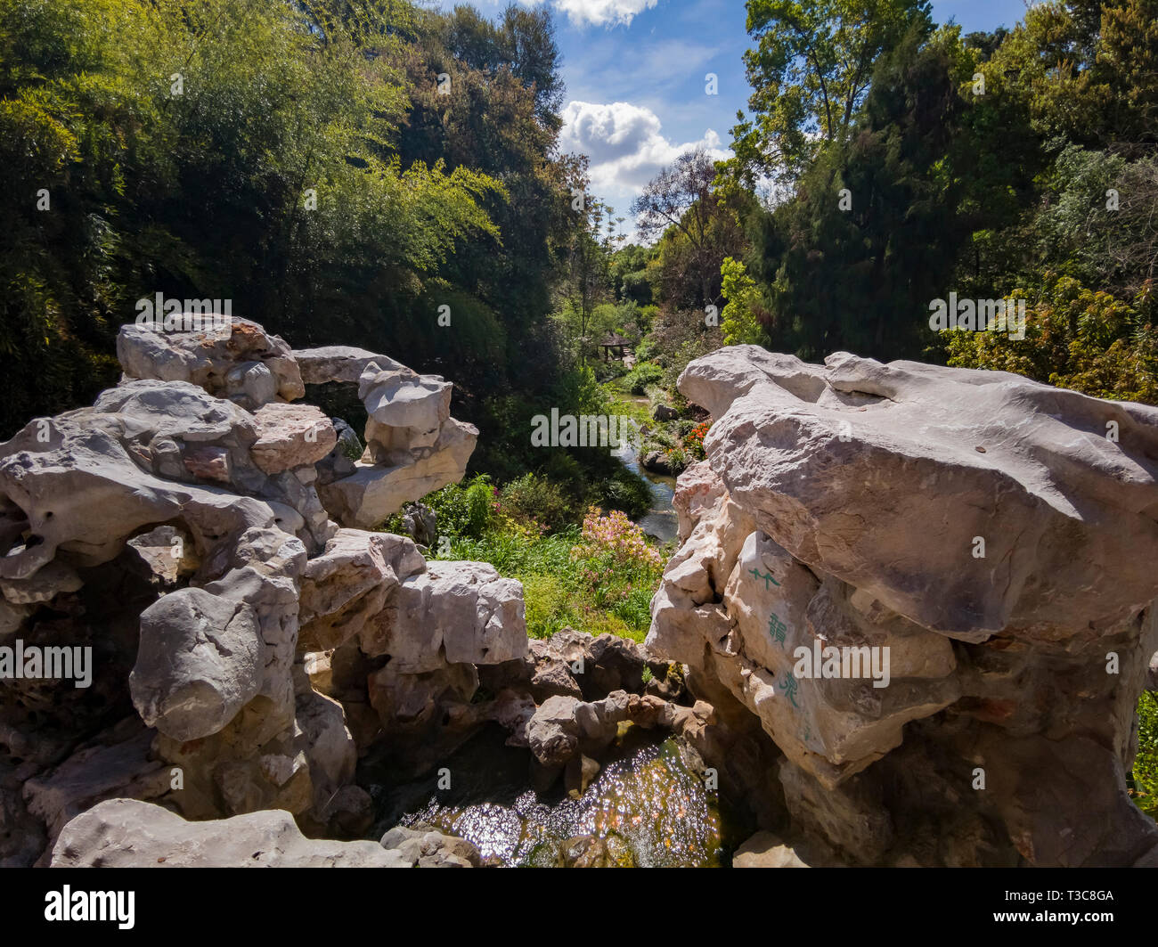Il bellissimo giardino cinese della Biblioteca di Huntington a Los Angeles in California Foto Stock