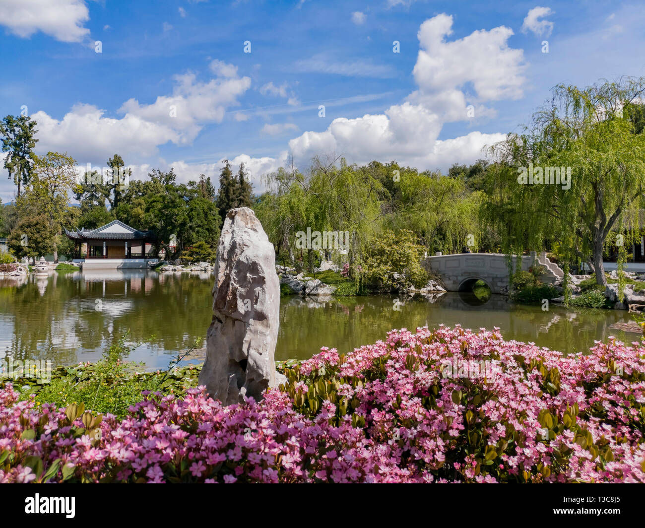 Il bellissimo giardino cinese della Biblioteca di Huntington a Los Angeles in California Foto Stock