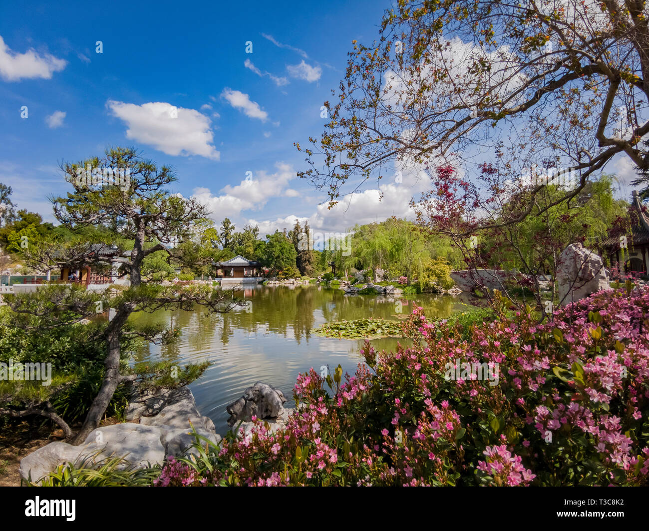 Il bellissimo giardino cinese della Biblioteca di Huntington a Los Angeles in California Foto Stock