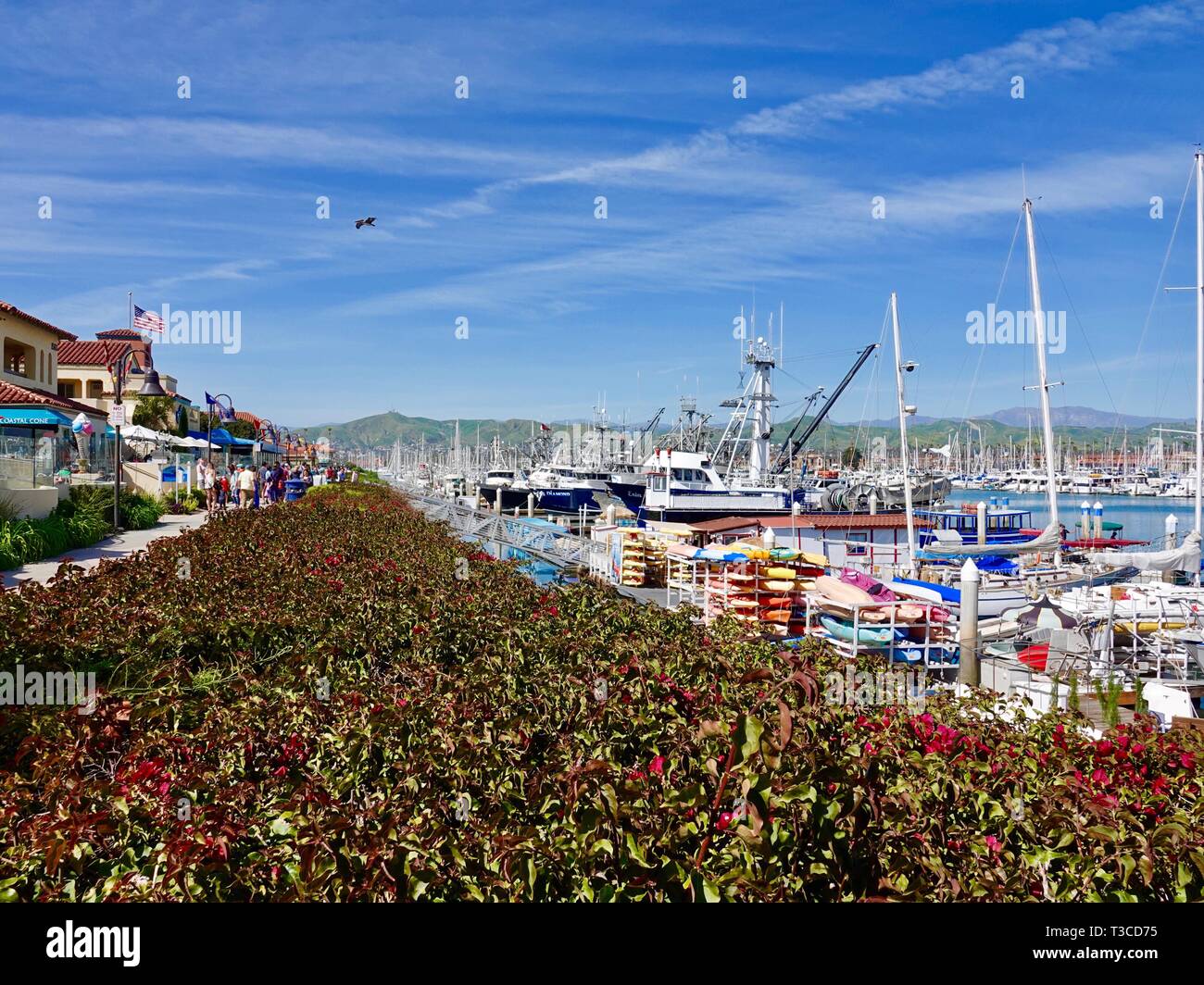 Commerciale e ricreativo/imbarcazioni da diporto ormeggiate al Marina, Ventura Harbor, Ventura, California, Stati Uniti d'America. Foto Stock
