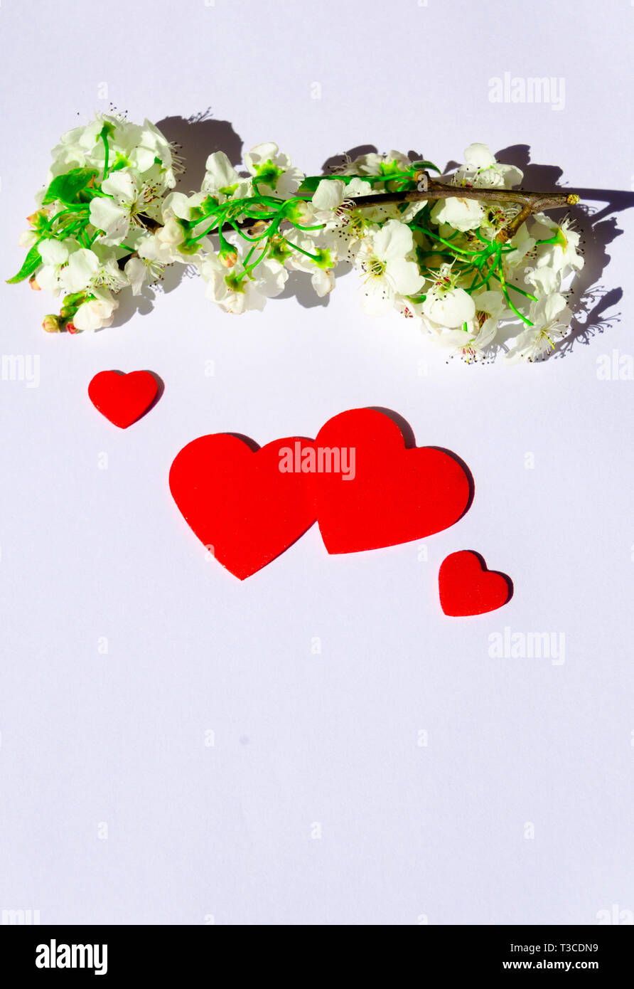 Cartolina di cuori rossi, decorato con fiori di campo bianco Foto Stock