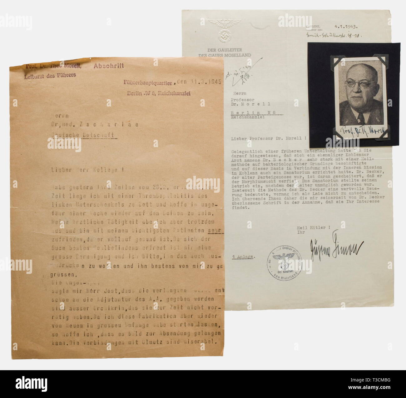 Il Professor Theo Morell (1886 - 1948), lettere e documenti di Adolf Hitler il medico personale di trascrizione di una lettera al Dottor Zachariae, Benito Mussolini, medico, Führer sede centrale, 11.3.1945, dattiloscritte '... sono molto soddisfatto con il mio più importante del paziente (nota: Hitler) ... Come il Duce è in ottima salute ... si prega di dare a lui i miei migliori saluti. ... Con i migliori saluti a Obergruppenführer Wolff e Ambasciatore Rahn' firma manoscritta "Il prof. M.'. Decreto V 9/42 "Führer", Führer sede 12.8.42 matita manoscritta nota 'Dr. M.' Due lettere di Cona Editorial-Use-solo Foto Stock