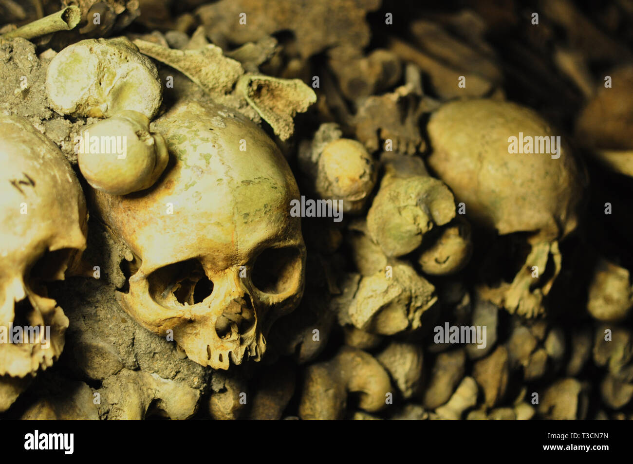 Teschi umani nelle catacombe di Parigi, Francia Foto Stock