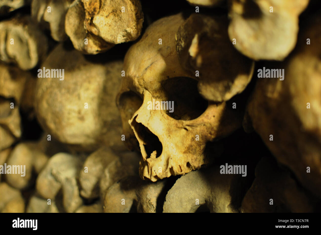 Teschi umani nelle catacombe di Parigi, Francia Foto Stock