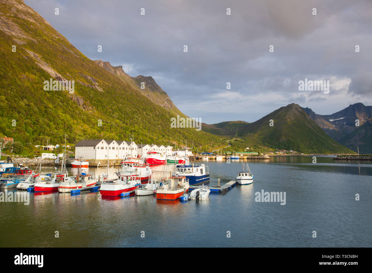 Senja Isola, Norvegia - agosto 24,2017: porto dei pescatori al tramonto sulla isola di Senja, Norvegia Foto Stock
