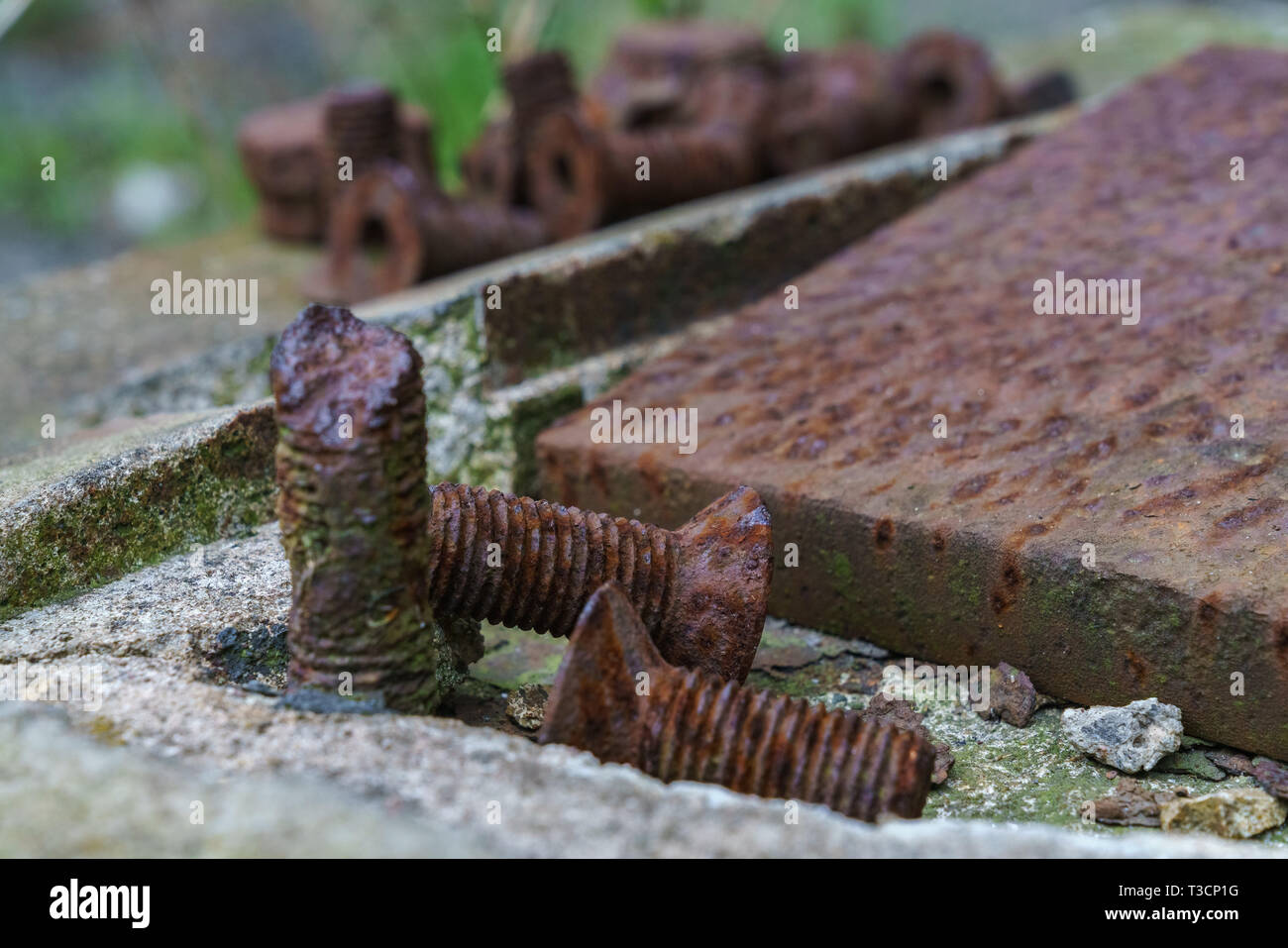 Alcune viti arrugginite su una soletta di calcestruzzo Foto Stock