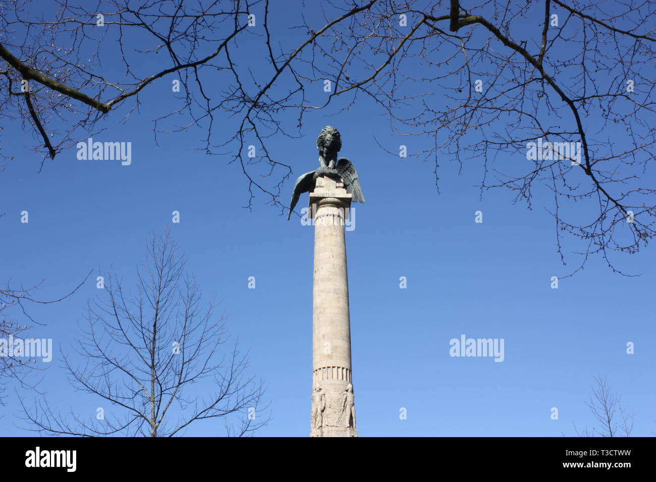 La Guerra Peninsulare, celebrazione statua in Boavista Park a Oporto, Portogallo. Foto Stock