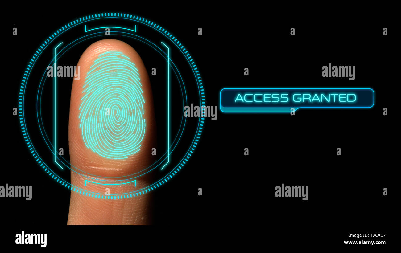 Impronte digitali Thumbprint computer protezione accesso scansione concesso Foto Stock