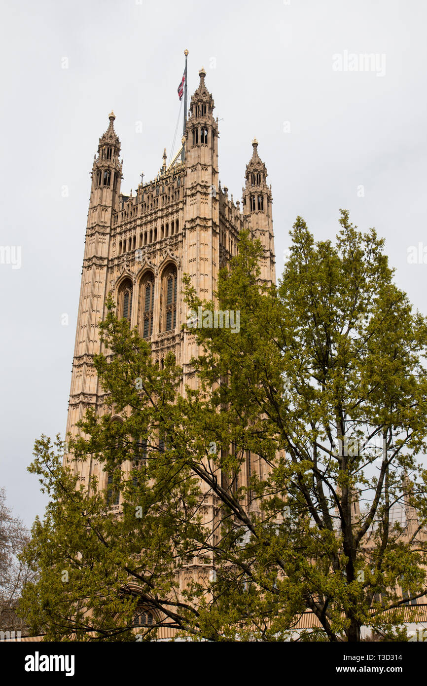 Big Ben Westminster London REGNO UNITO Foto Stock