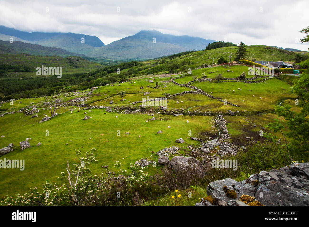 Bel paesaggio irlandese, campi dell'Irlanda del Sud, fattorie irlandesi paesaggi campagna Europa Foto Stock