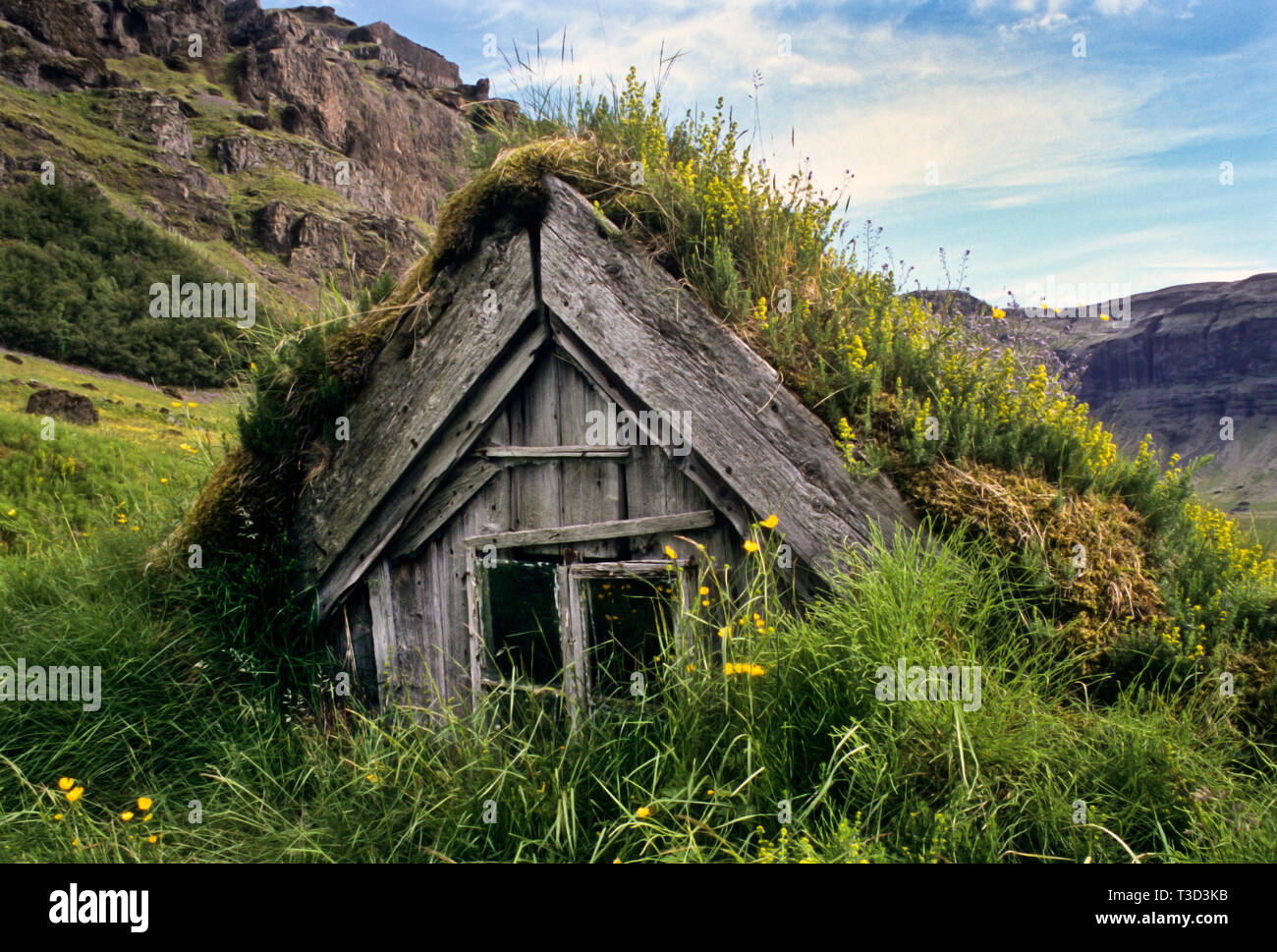 Vecchia casa di Turf tempo, Islanda paesaggio estivo, immagini storiche Foto Stock