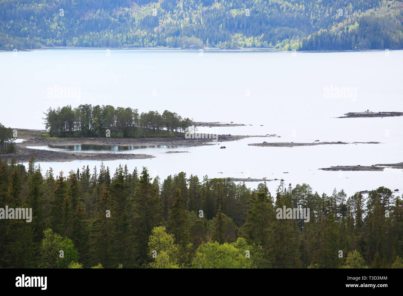 La molla Norwagian paesaggio con la foresta, montagna e mare fjord sullo sfondo Foto Stock