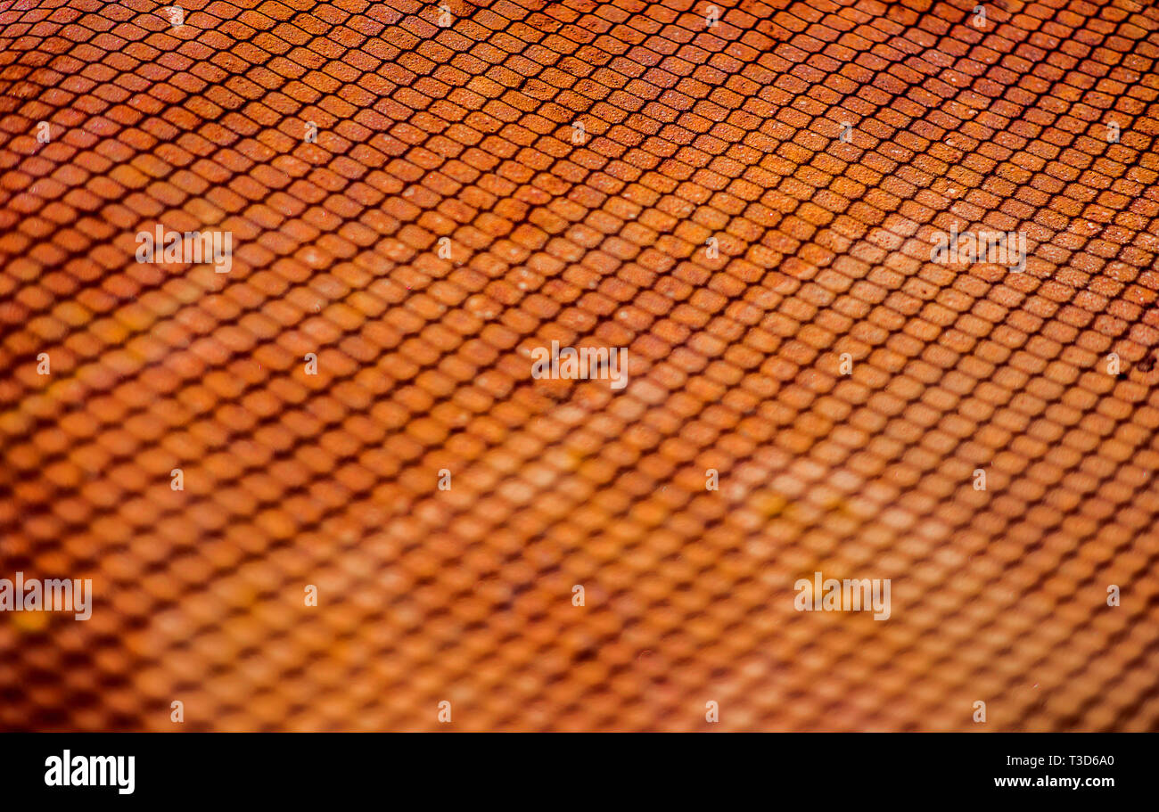 Shedow intessute di rete di filo di ferro arrugginito sul foglio di lamiera. Superficie con profondità di campo. Abstract orizzontale industriale sfondo mesh Foto Stock
