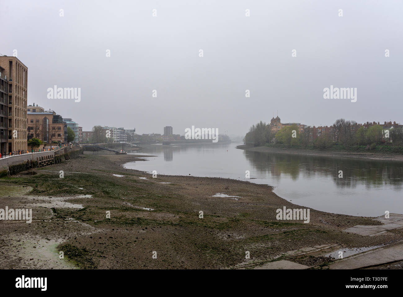 Grim nebbiosa mattina con la bassa marea sul Fiume Tamigi a Hammersmith, Londra, Regno Unito. Craven Cottage in distanza è avvolta nella nebbia. Spazio per la copia Foto Stock