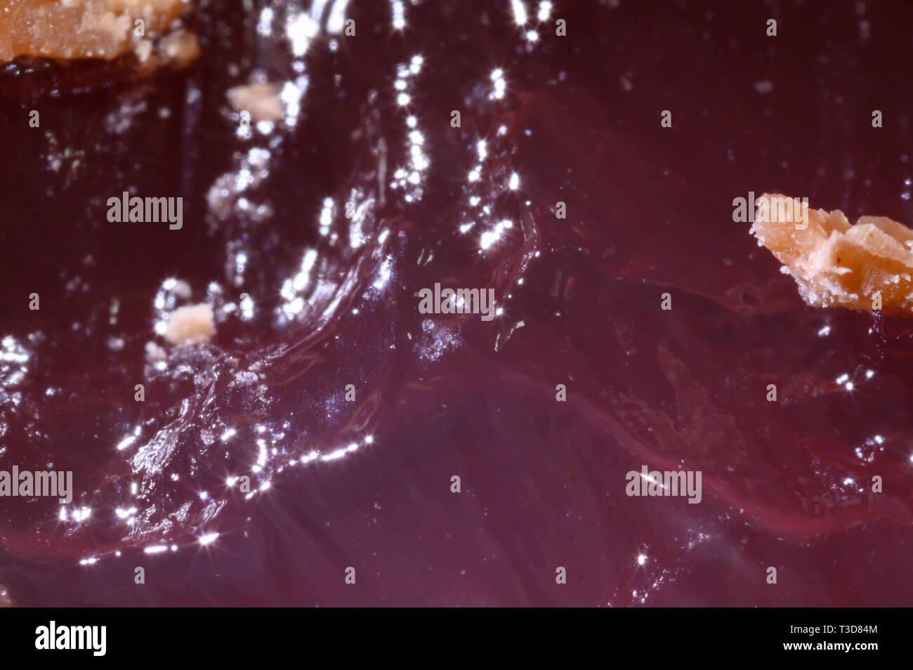 Foto ultra macro di una barretta di cioccolato turca di Fry's Delight Foto Stock