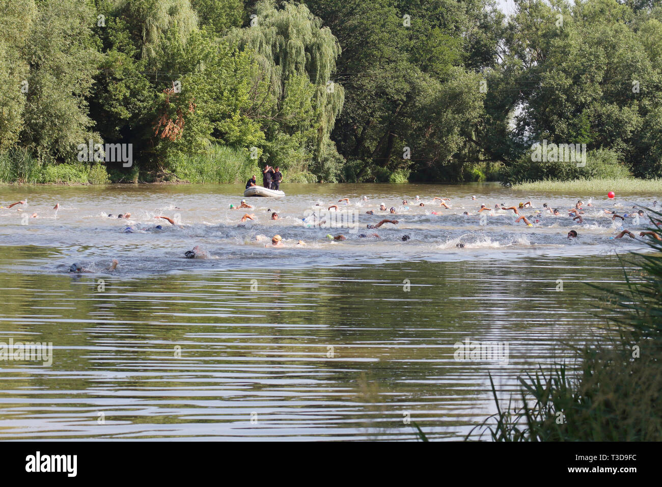 Gruppo di triathlonists nuotare nel fiume Mures durante il concorso nazionale Foto Stock