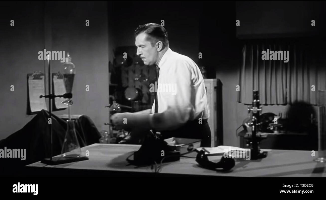 Il pipistrello è un mistero americano film dal 1959 starring Vincent Price e Agnes Moorehead. È il quarto film di adattamento del racconto, che era iniziato come un 1908 romanzo la scalinata circolare di Mary Roberts Rinehart, che poi ha adattato (con Avery Hopwood) nel 1920 giocare la mazza.[1][2][3] La prima versione cinematografica del gioco era il 1926 American film muto il bat. La versione del film è stato adattato da drammaturgo Crane Wilbur, che ha anche diretto.[4] Il pipistrello è stato distribuito nel 1959 su un double bill con il British Hammer film La Mummia.[1] ormai di dominio pubblico, Foto Stock