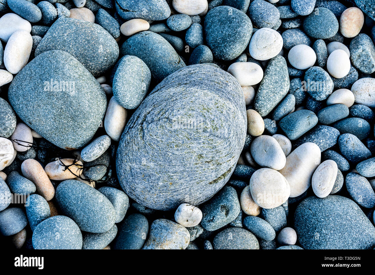 Round pietre su una spiaggia Foto Stock