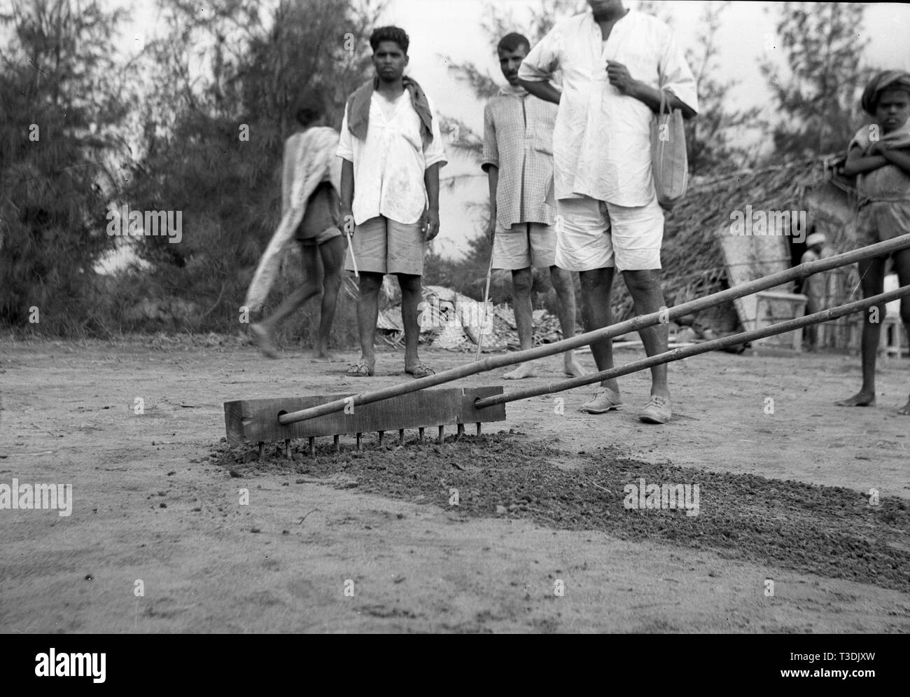 I lavoratori delle piantagioni la semina di semi in India britannica 1945 Foto Stock
