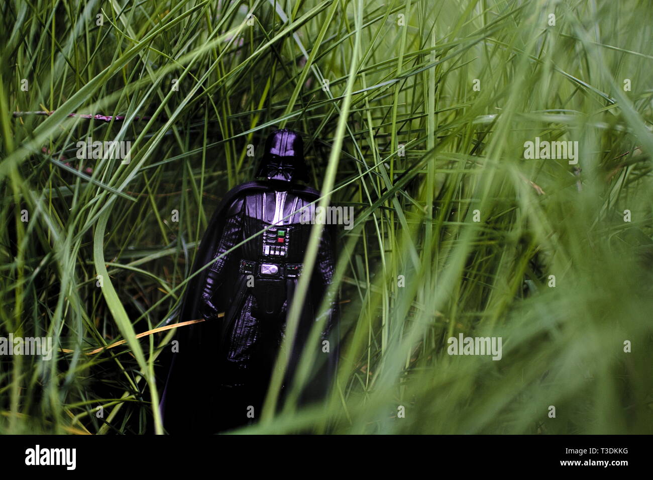 Figurina di Darth Vader in erba verde. Foto Stock