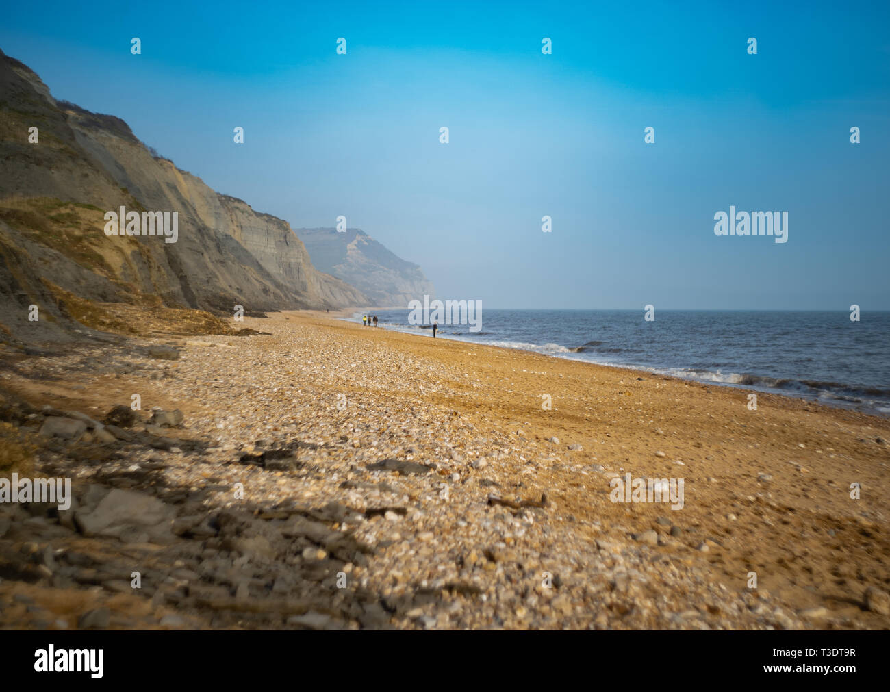 Spiaggia di Charmouth guardando ad Est, Dorset, Regno Unito Foto Stock