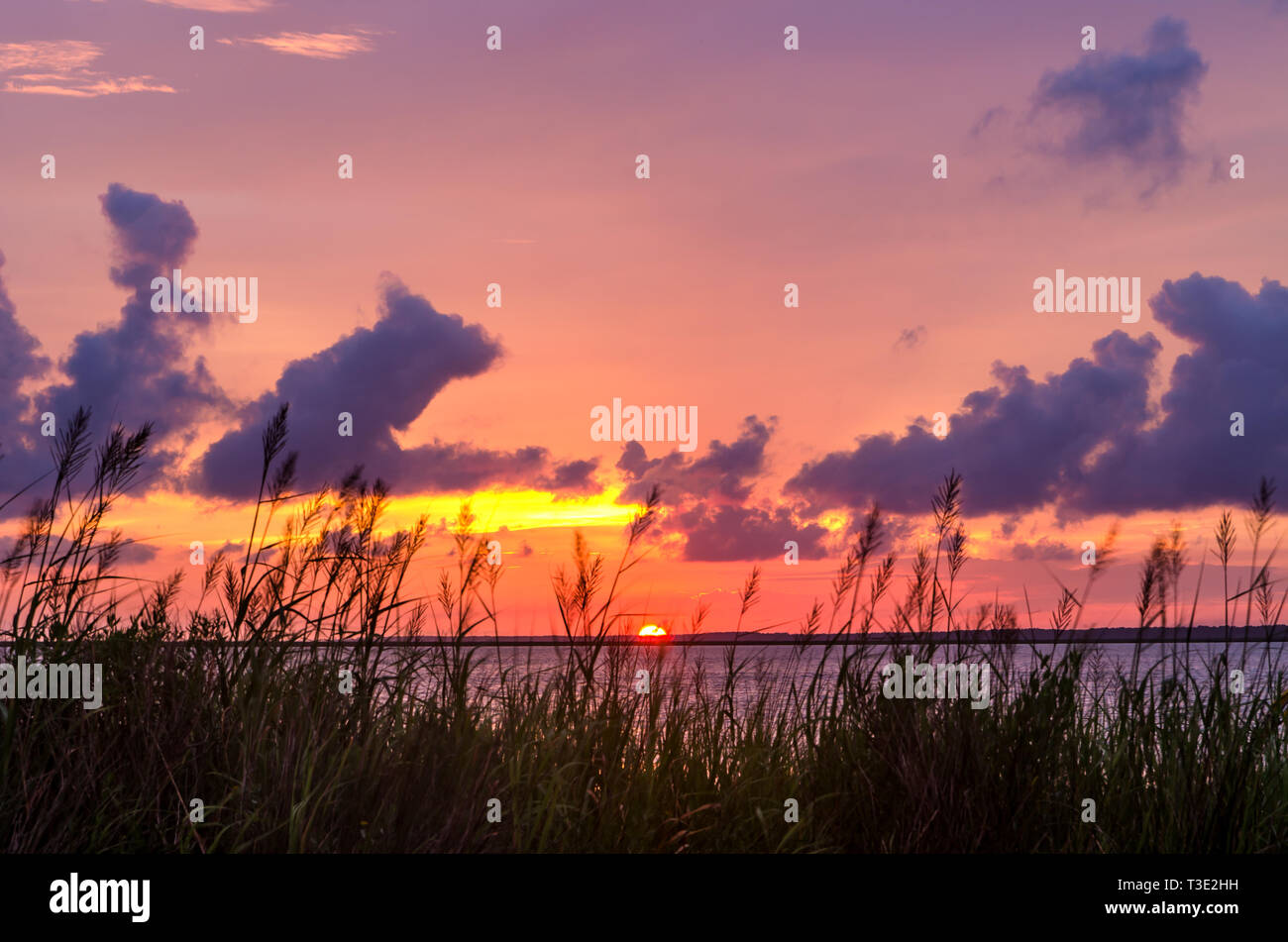 Il sole tramonta sulla Baia di airone a Cedar Point, 23 giugno 2013, Coden, Alabama. Foto Stock