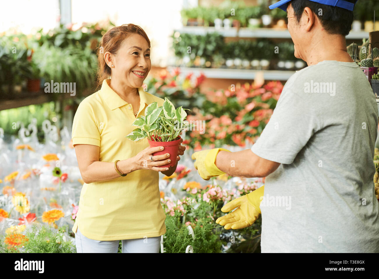 Donna che vendono fiori Foto Stock