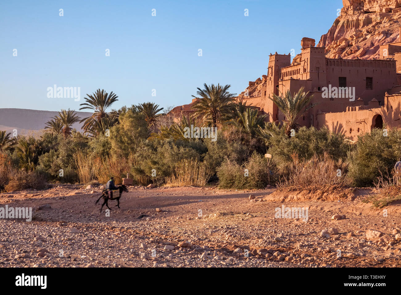 Un uomo a cavallo con il Ksar Aït-Ben-Haddou, Aït Benhaddou, provincia di Ouarzazate, Drâa-Tafilalet, Marocco, Africa. Foto Stock