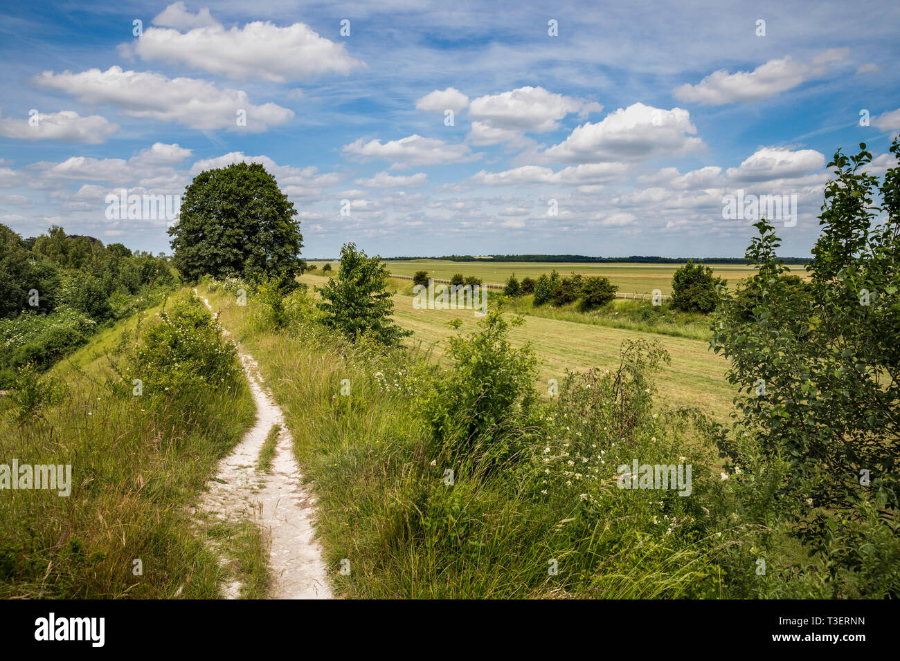 Devil's Dyke; Newmarket;; Suffolk REGNO UNITO Foto Stock