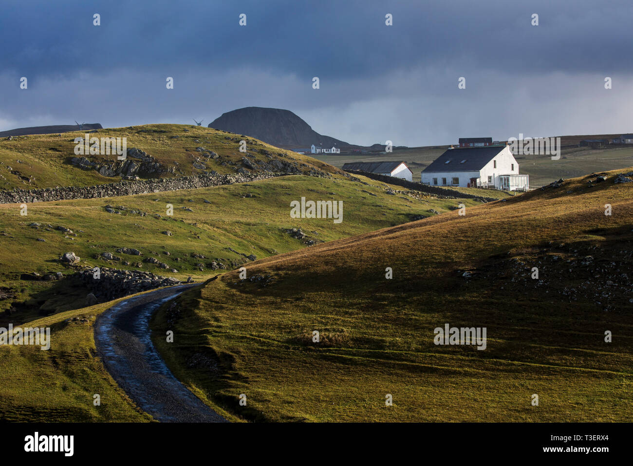 Fair Isle; Shetland; Regno Unito Foto Stock