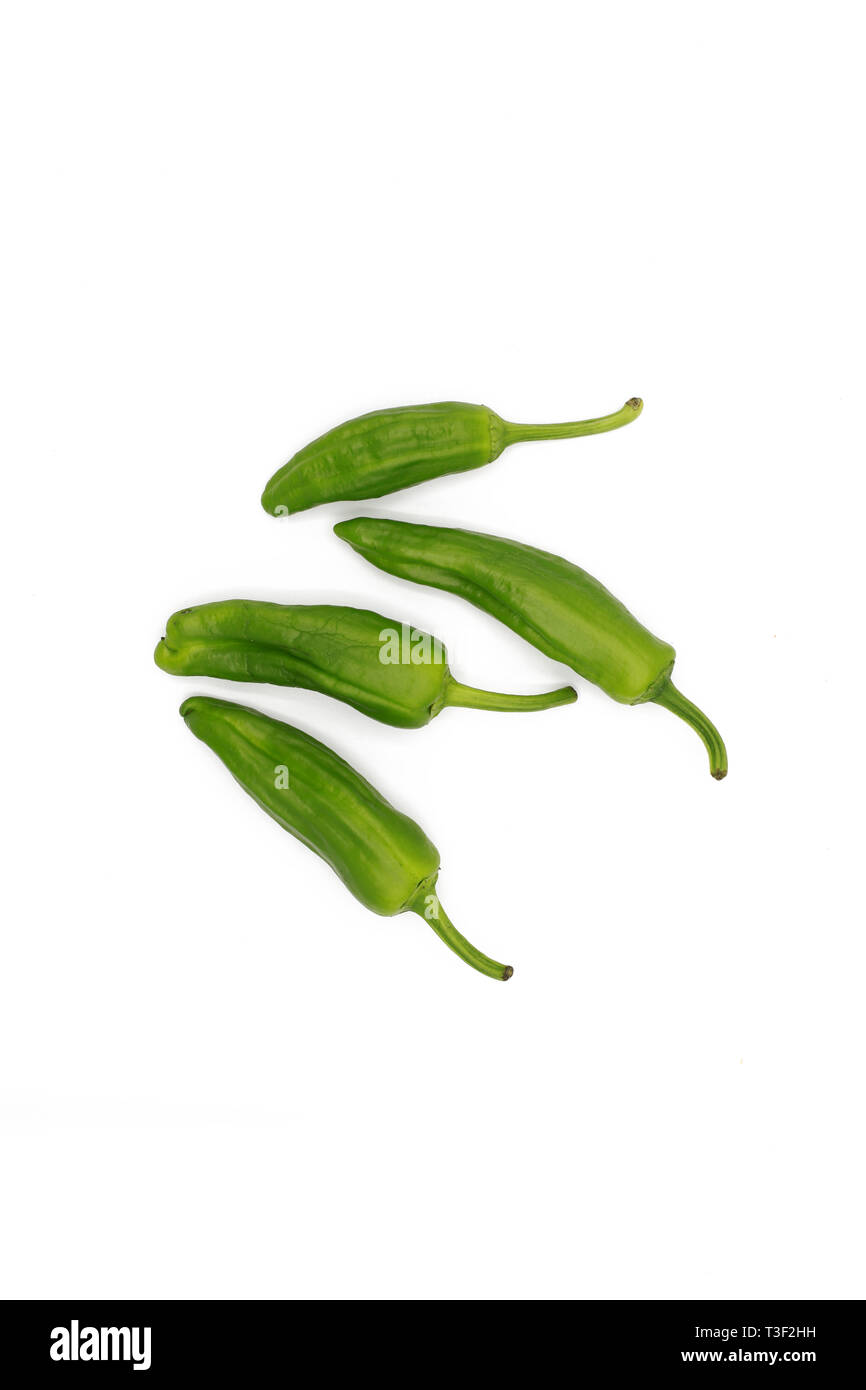 Chili pod - freschi peperoncini verdi - isolato su bianco Foto Stock