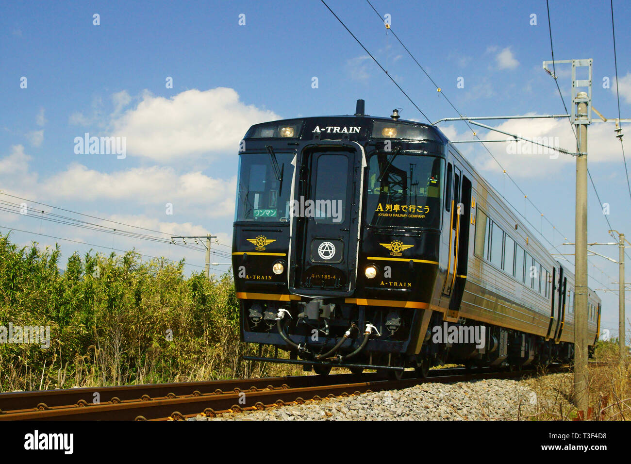 Limited Express un treno, Giappone Foto Stock