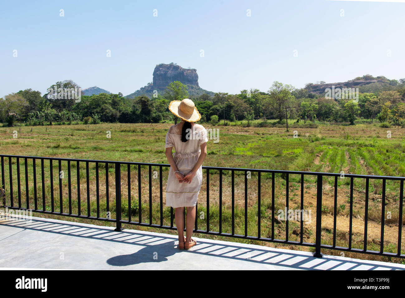 Donna godendo di Sigiriya rock vista in Sri Lanka Foto Stock