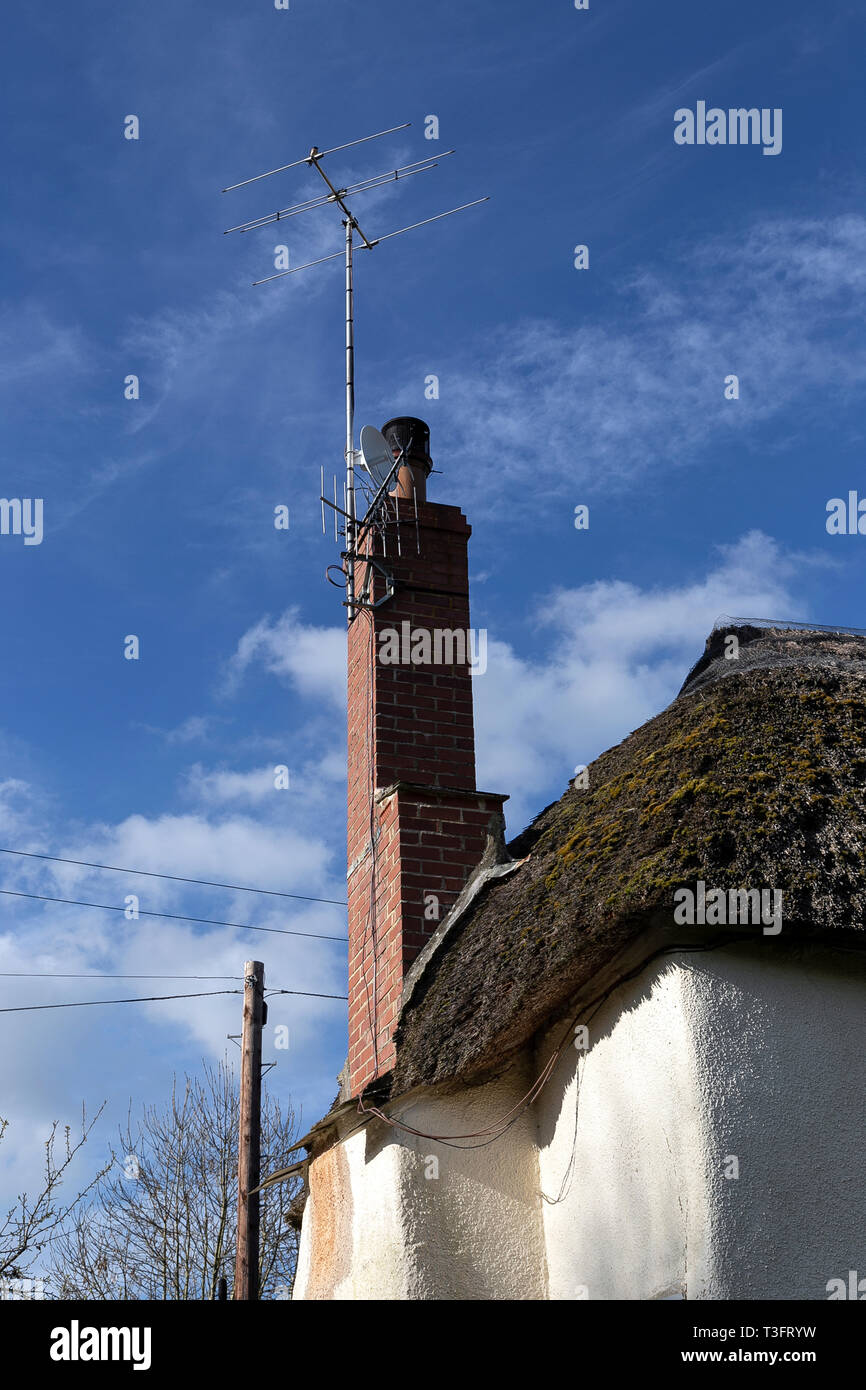 Devon Cob e cottage in paglia,architettura, bellezza, Edificio Esterno, cereale, concorrenza Round, mais, grano - Crop, Agriturismo, erba, erba Home, Foto Stock