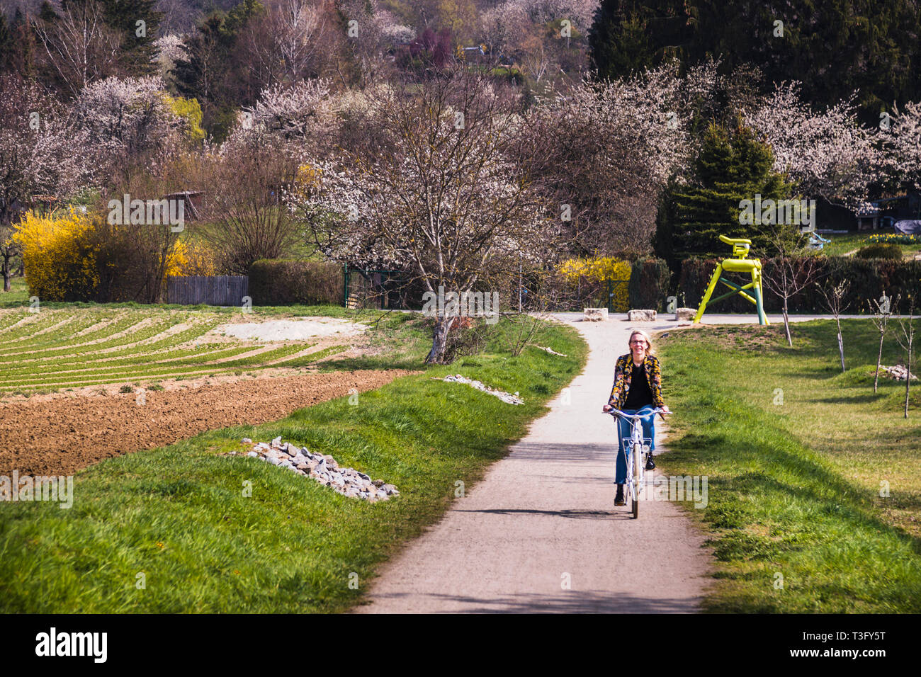 Il Rehberger Weg conduce per la maggior parte attraverso i vigneti. 24 waypoint su cinque chilometri. Presso l''Hotel Krone potrete noleggiare biciclette. Ciclista sul Verner Panton Weg vicino al Campus Vitra a Weil am Rhein, Germania Foto Stock