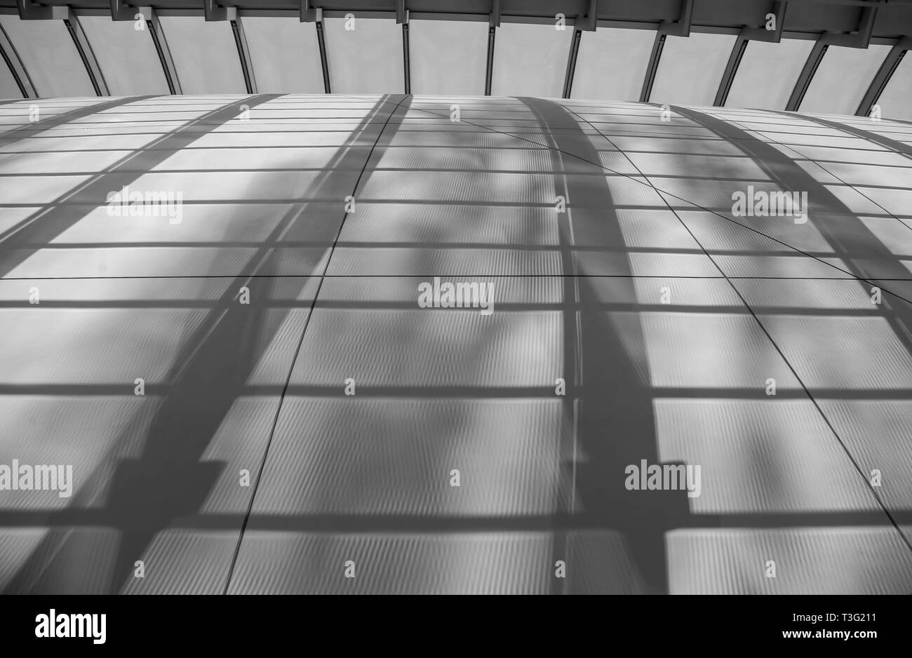 Darwin Centre presso il Museo di Storia Naturale di Londra, England, Regno Unito Foto Stock