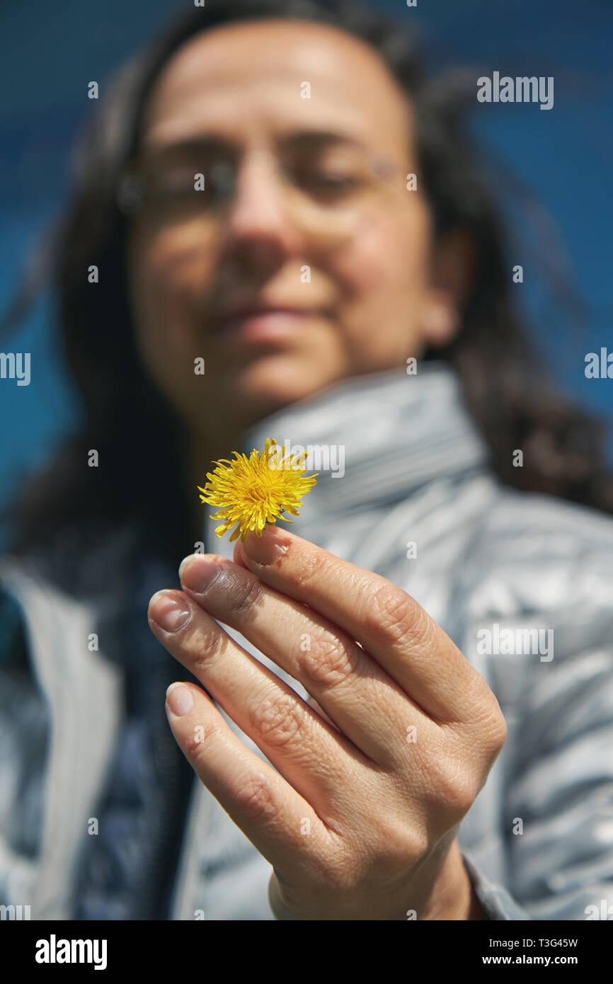 Pretty donne ispaniche con un giallo fiore di dente di leone Foto Stock