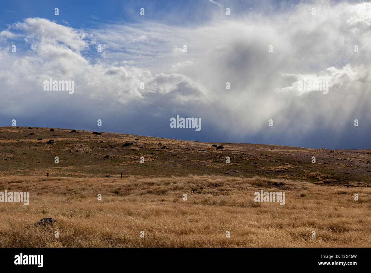 Tempesta di avvicinamento in Nuova Zelanda Foto Stock