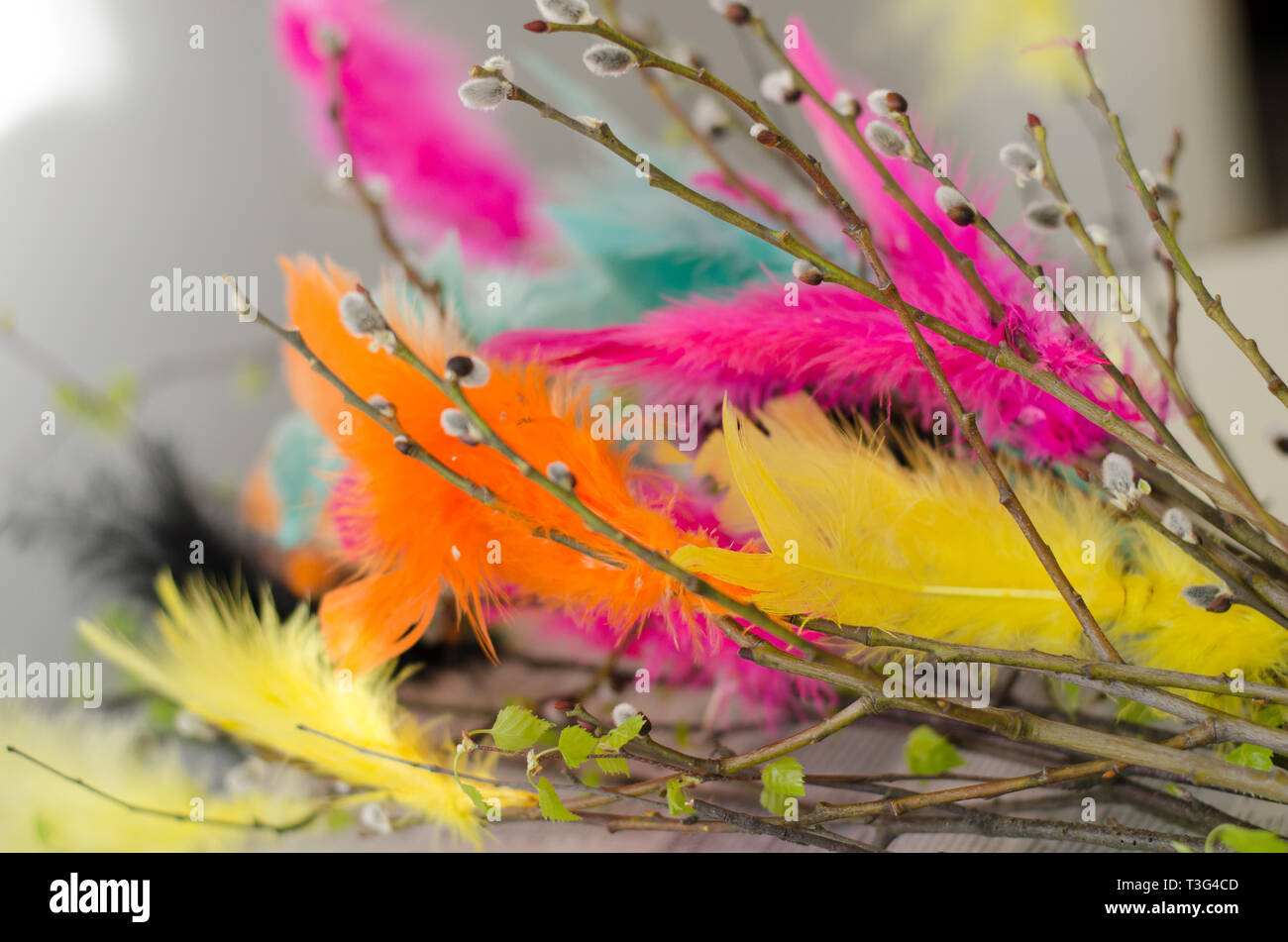 Pasqua tradizionale decorazione realizzata con ramoscelli con piume colorate su di essi Foto Stock