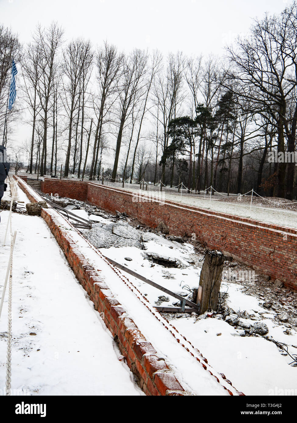 Resti della camera a gas e crematorio, Auschwitz Birkenau, campo di concentramento, morte camp, Polonia Foto Stock